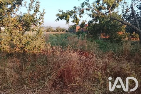 Land plot for sale in Talavera De La Reina, Toledo, Spain 1942.54 sq.m. No. 193523 - photo 3