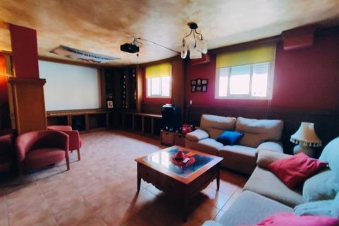 Apartment à vendre à Torrevieja, Alicante, Espagne, 283 m2 No. 165438 - photo 12