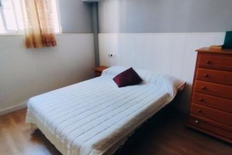 Apartment à vendre à Torrevieja, Alicante, Espagne, 283 m2 No. 165438 - photo 19