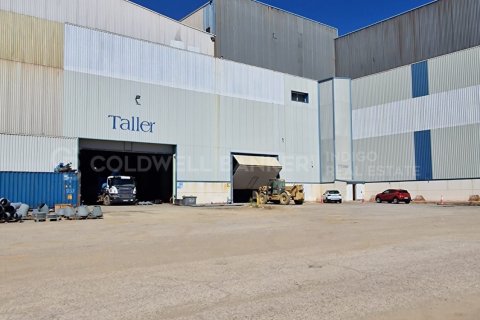 Liikekiinteistö myytävänä Aznalcollar, Seville, Espanja , 30773 m2 No. 159790 - kuva 5