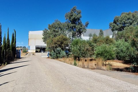Liikekiinteistö myytävänä Aznalcollar, Seville, Espanja , 30773 m2 No. 159790 - kuva 3