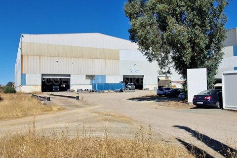 Liikekiinteistö myytävänä Aznalcollar, Seville, Espanja , 30773 m2 No. 159790 - kuva 4