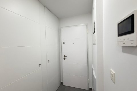 Продажа квартиры в Торревьеха, Аликанте, Испания 3 спальни, 113м2 №148678 - фото 3