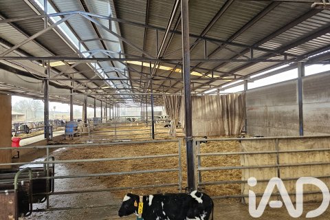 Propiedad comercial en venta en Toledo, España No. 152549 - foto 17