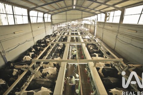 Propiedad comercial en venta en Toledo, España No. 152549 - foto 15