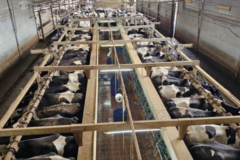 Propiedad comercial en venta en Toledo, España No. 152549 - foto 14