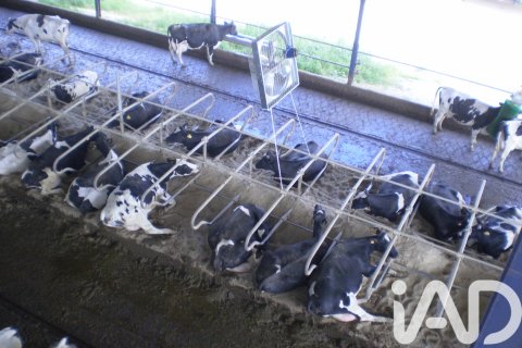 Propiedad comercial en venta en Toledo, España No. 152549 - foto 13