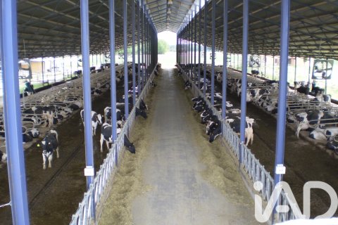 Propiedad comercial en venta en Toledo, España No. 152549 - foto 11