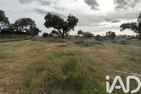 Land plot in Carrascal de Barregas, Salamanca, Spain 695 sq.m. No. 184930