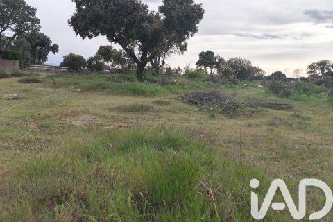 Terreno in vendita a Carrascal de Barregas, Salamanca, Spagna 695 mq. N° 184930 - foto 2