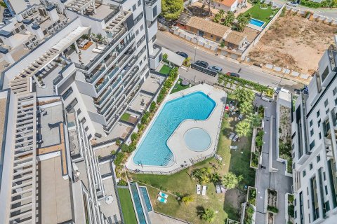 Apartment in Dehesa De Campoamor, Alicante, Spain 113 sq.m. No. 196905