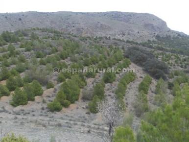 House in Tijola, Almeria, Spanien 250 m2 Nr. 184182