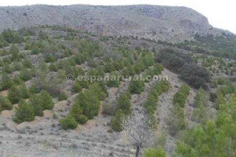 House for sale in Tijola, Almeria, Spain 250 sq.m. No. 184182 - photo 15