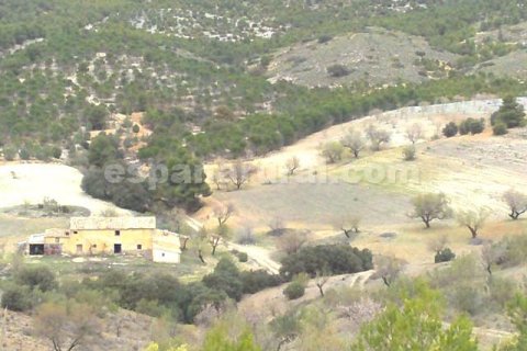 House for sale in Tijola, Almeria, Spain 250 sq.m. No. 184182 - photo 16