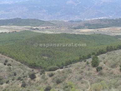 House in Tijola, Almeria, Spanien 250 m2 Nr. 184182