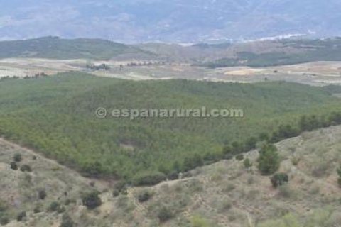 House for sale in Tijola, Almeria, Spain 250 sq.m. No. 184182 - photo 13