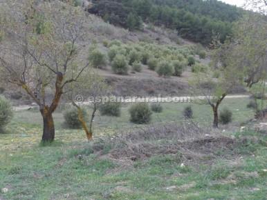 House in Tijola, Almeria, Spanien 250 m2 Nr. 184182