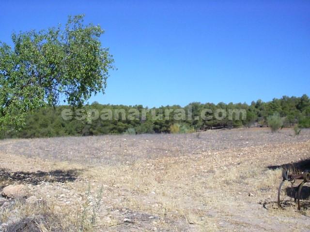 House in Tijola, Almeria, Spanien 250 m2 Nr. 184182