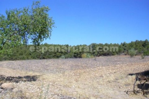 House for sale in Tijola, Almeria, Spain 250 sq.m. No. 184182 - photo 12
