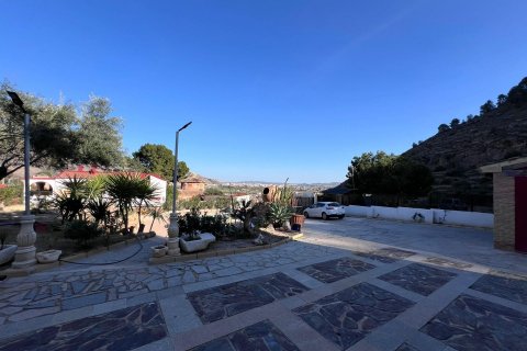 Villa for sale Raiguero de Bonanza, Alicante, Spain 4 bedrooms, 376 sq.m. No. 115919 - photo 12
