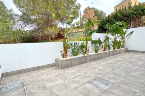 Willa Los Balcones, Alicante, Hiszpania 4 sypialnie, 110 mkw. nr 115916 – zdjęcie 20
