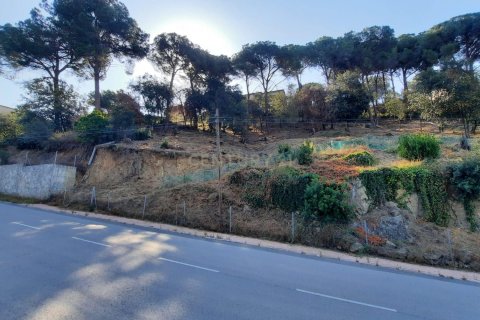 Terreno a Dosrius, Barcelona, Spagna N° 186654