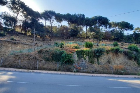 Tontti myytävänä Dosrius, Barcelona, Espanja , No. 186654 - kuva 17