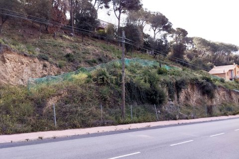 Tontti myytävänä Dosrius, Barcelona, Espanja , No. 186654 - kuva 4