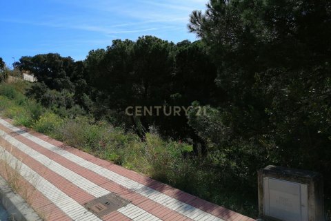 Terreno a Argentona, Barcelona, Spagna N° 186652