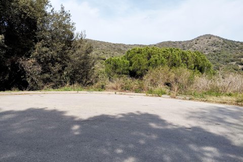 Terreno a Alella, Barcelona, Spagna N° 186655