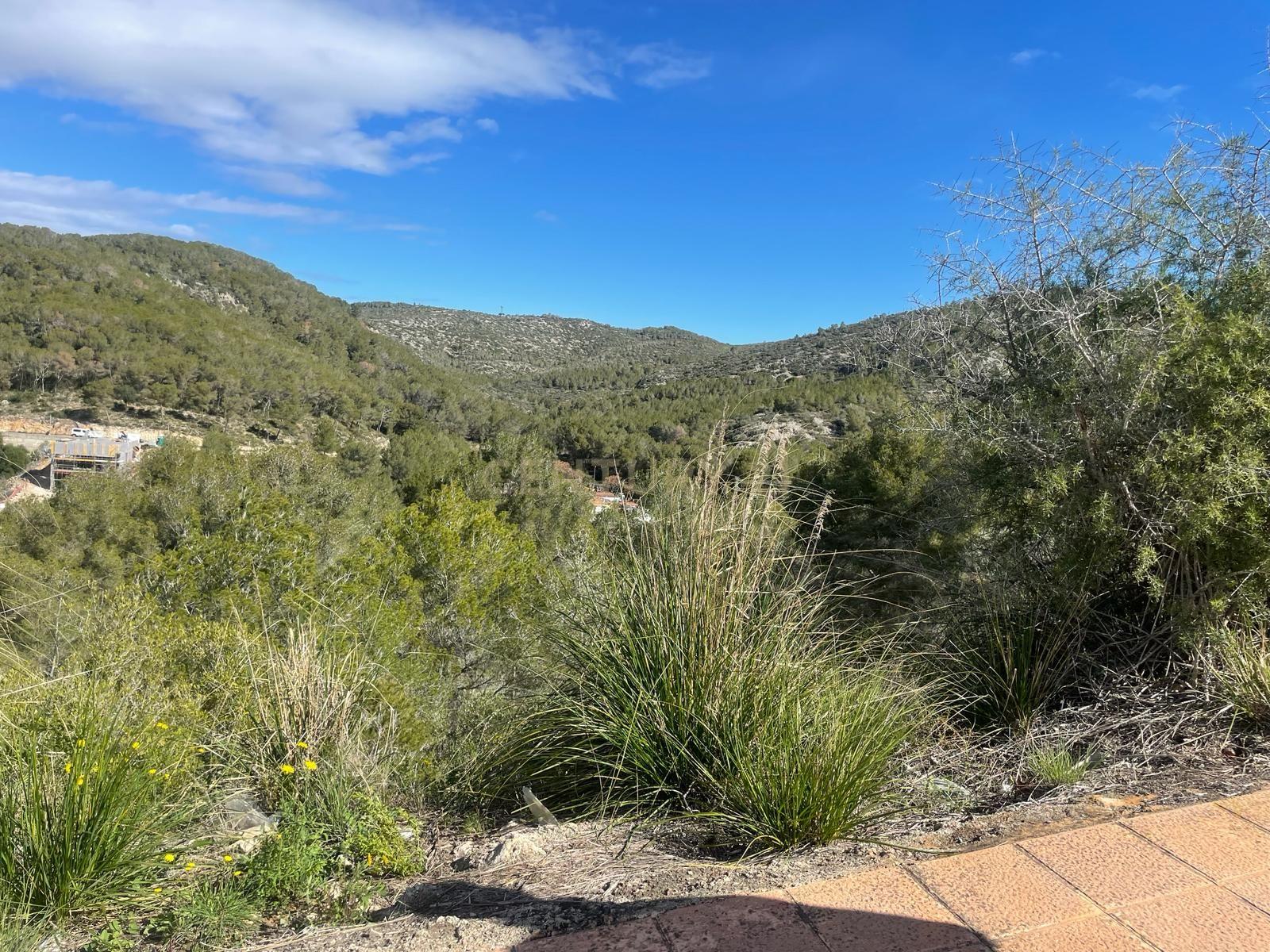 Land plot in Sant Pere de Ribes, Barcelona, Spain No. 186651