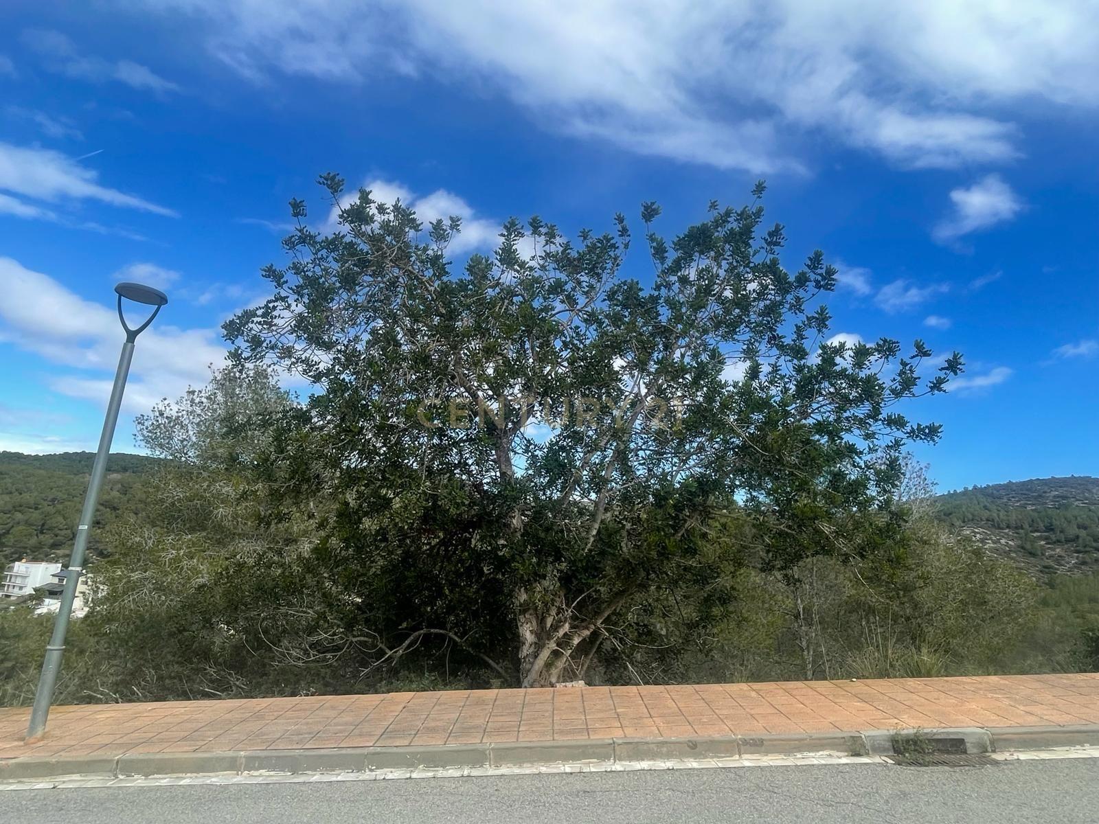 Land plot in Sant Pere de Ribes, Barcelona, Spain No. 186651