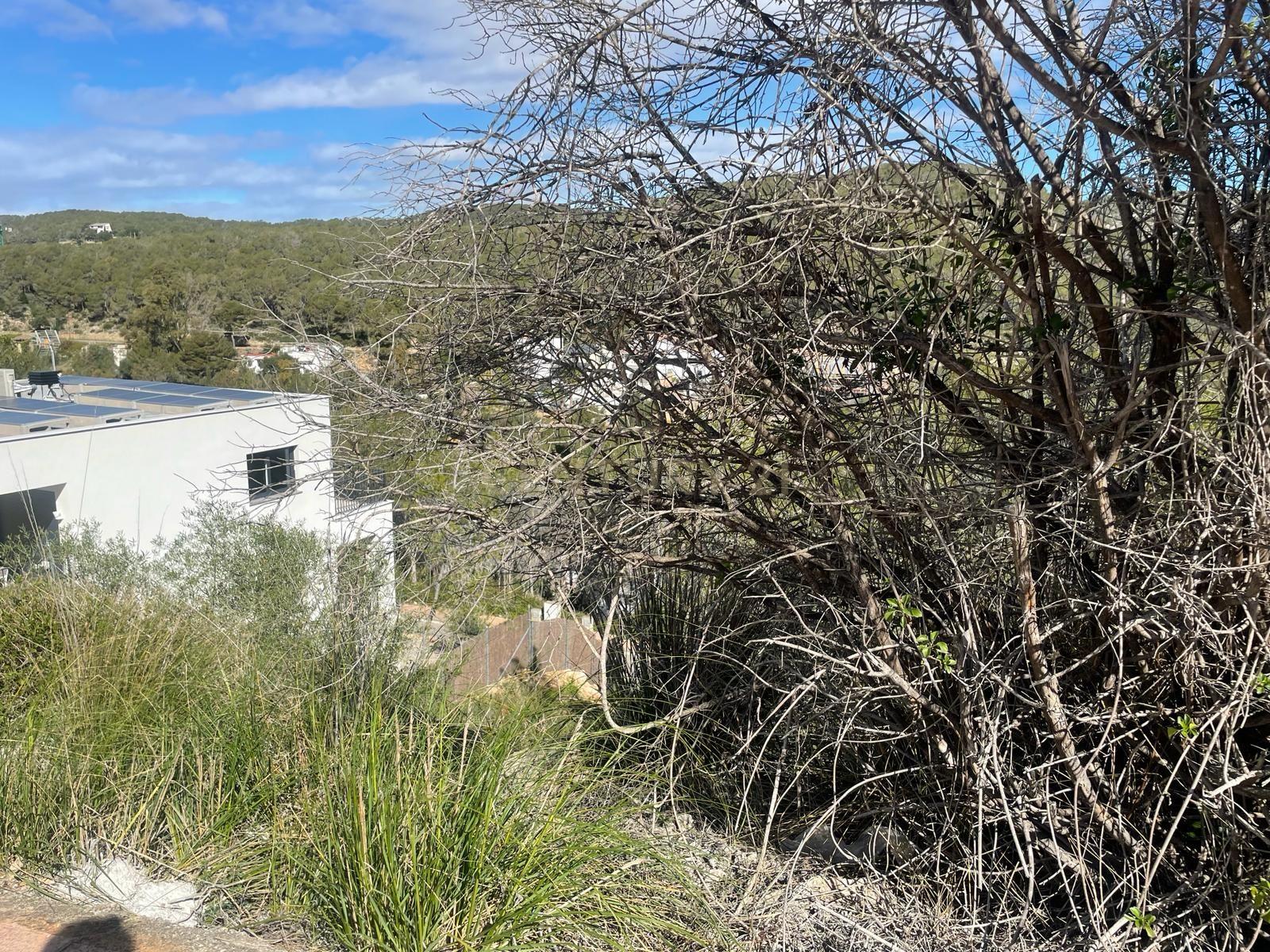Land plot in Sant Pere de Ribes, Barcelona, Spain No. 186651
