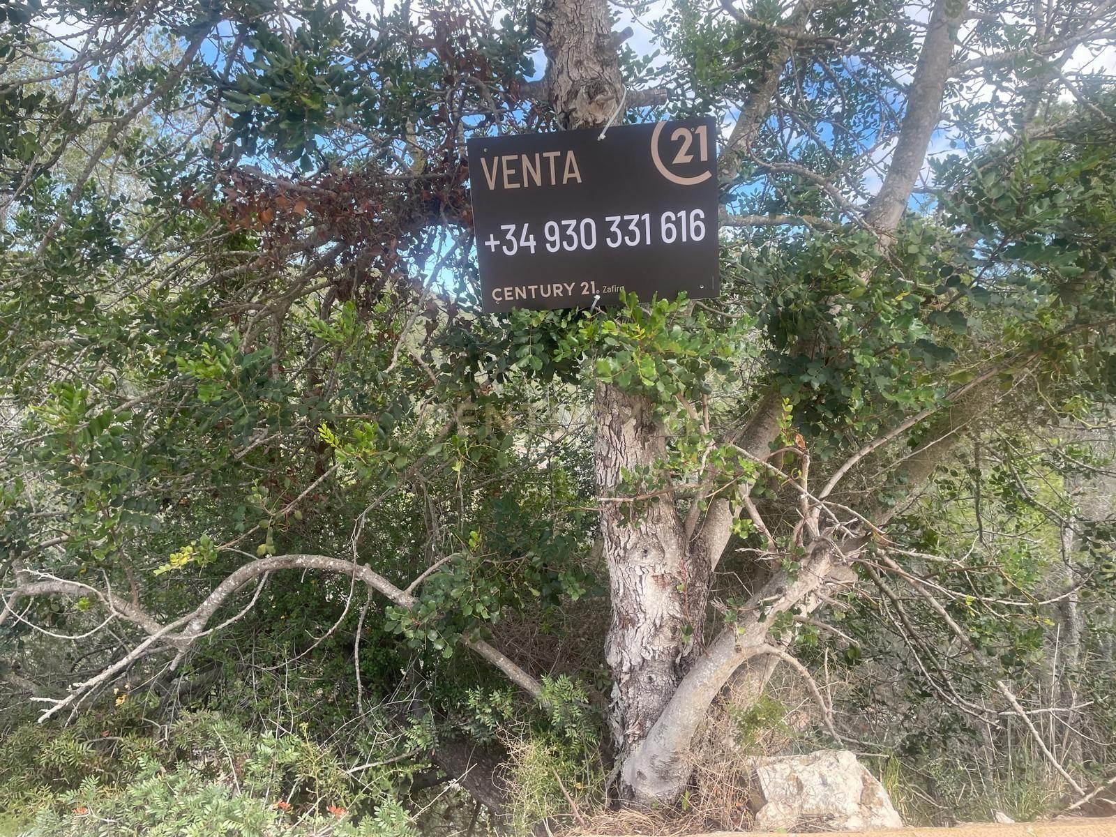 Land plot in Sant Pere de Ribes, Barcelona, Spain No. 186651