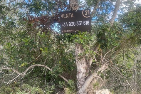 Land plot for sale in Sant Pere de Ribes, Barcelona, Spain No. 186651 - photo 14