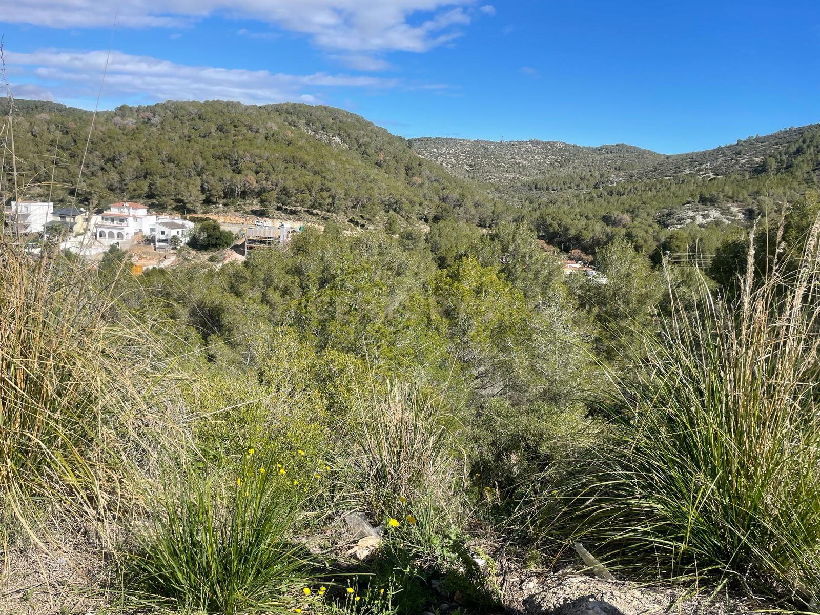 Land plot in Sant Pere de Ribes, Barcelona, Spain No. 186651