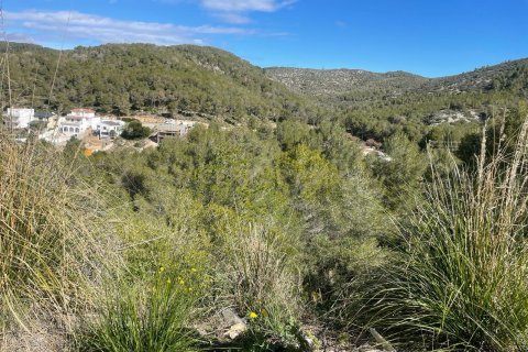 Land plot for sale in Sant Pere de Ribes, Barcelona, Spain No. 186651 - photo 16