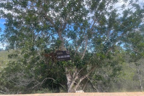 Land plot for sale in Sant Pere de Ribes, Barcelona, Spain No. 186651 - photo 6