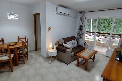 Apartment à louer à Alicante, Espagne, 1 chambre, 70 m2 No. 146480 - photo 3