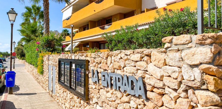 Appartamento a Punta Prima, Alicante, Spagna 2 camere da letto, 95 mq. N° 146207