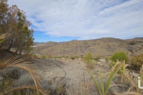 Продажа дома в Агилас, Мурсия, Испания 4 спальни, 20000м2 №153801 - фото 22