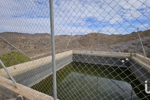 Продажа дома в Агилас, Мурсия, Испания 4 спальни, 20000м2 №153801 - фото 24