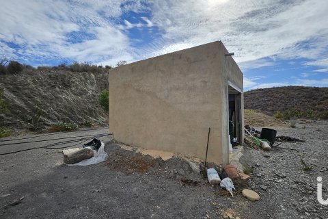 Продажа дома в Агилас, Мурсия, Испания 4 спальни, 20000м2 №153801 - фото 23