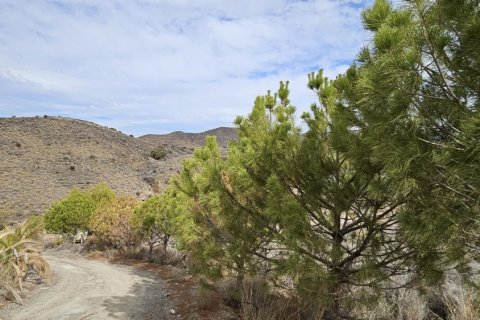 Продажа дома в Агилас, Мурсия, Испания 4 спальни, 20000м2 №153801 - фото 21