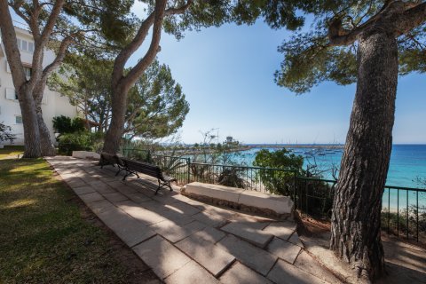 Apartment for sale Portals Nous, Mallorca, Spain 4 bedrooms, 121 sq.m. No. 74276 - photo 20
