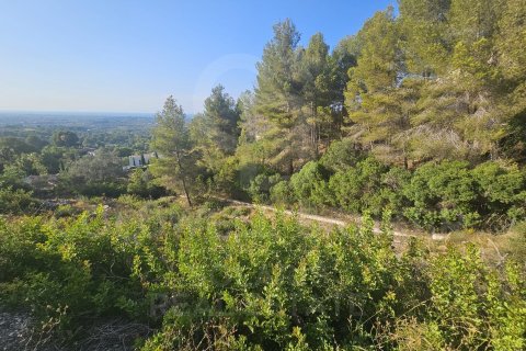 Tontti myytävänä Pedreguer, Alicante, Espanja , 2521 m2 No. 158329 - kuva 3