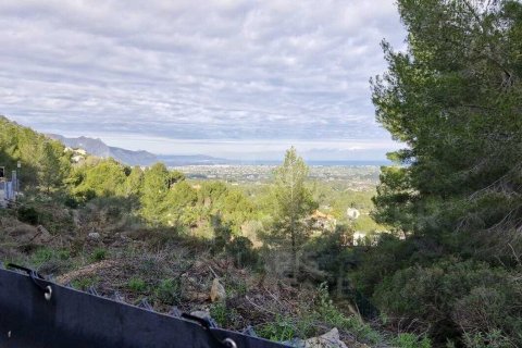 Land zum Verkauf in Pedreguer, Alicante, Spanien 2521 m2 Nr. 158329 - Foto 4