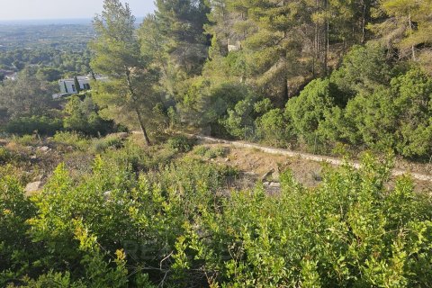 Land zum Verkauf in Pedreguer, Alicante, Spanien 2521 m2 Nr. 158329 - Foto 3
