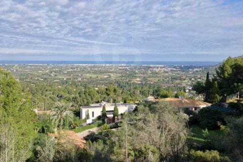 Land zum Verkauf in Pedreguer, Alicante, Spanien 2521 m2 Nr. 158329 - Foto 12