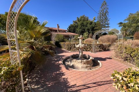 Villa till salu Callosa de Segura, Alicante, Spanien 7 sovrum, 616 kvm. Nr. 137802 - foto 6